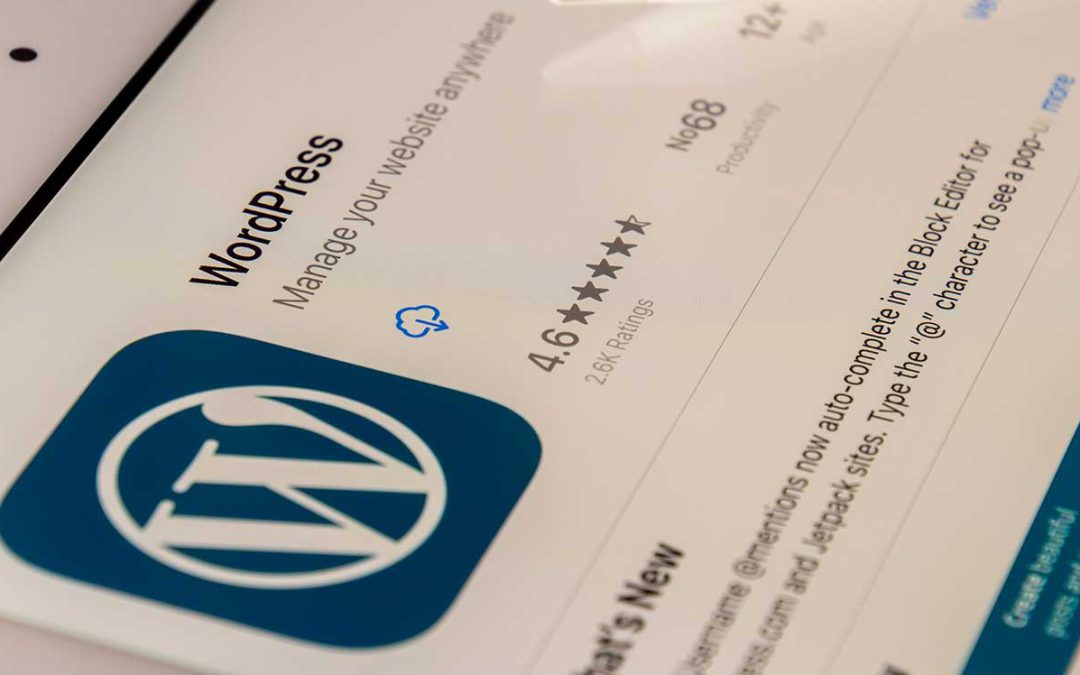 The Ultimate Beginner’s Guide: What is WordPress?