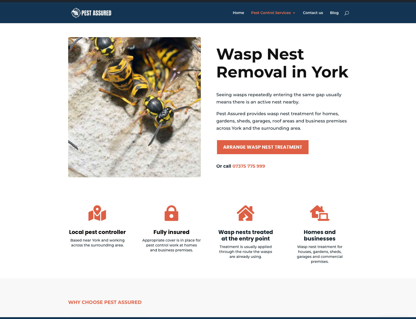 Wasps-Page Website designers in Thirsk