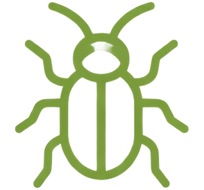 Insects